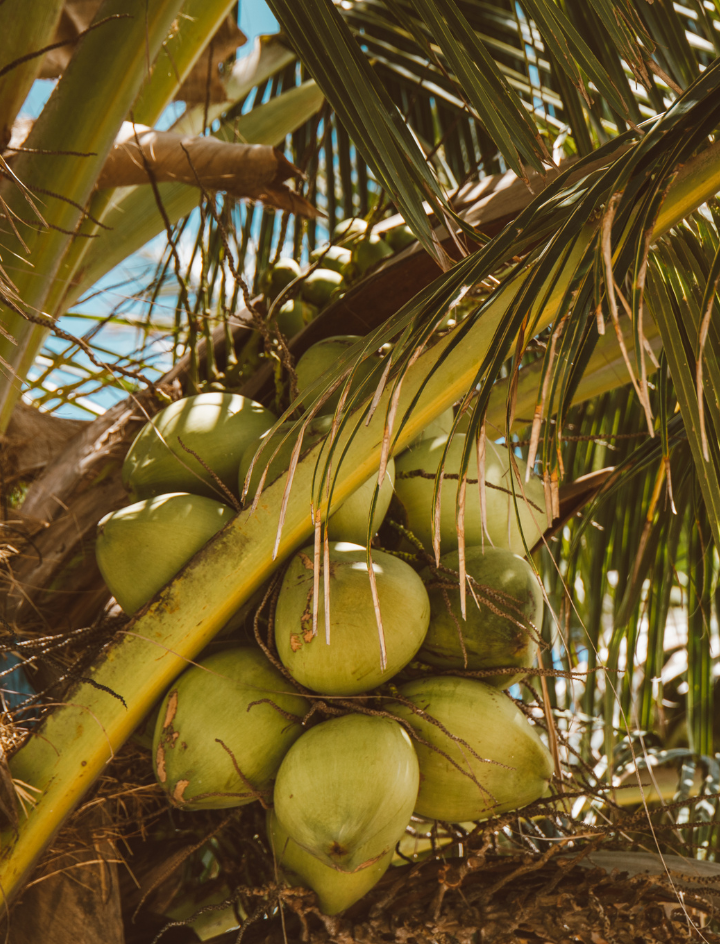 Der Blick hinter die Maske!