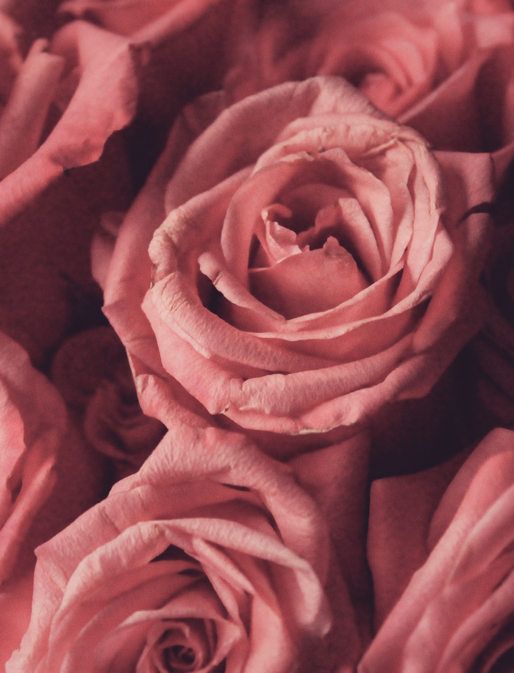 Rosazea – Pflege, Therapie, aber keine Heilung