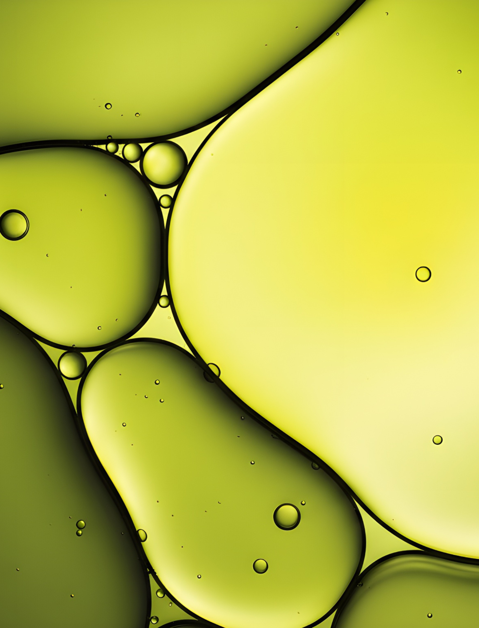 Liquid Jade: Tamanu-Öl in seiner puren Form