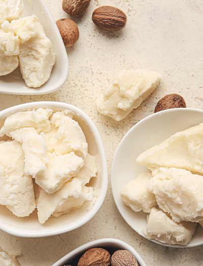 <tc>Shea butter - the ingredients, the modes of action, the natural power</tc>
