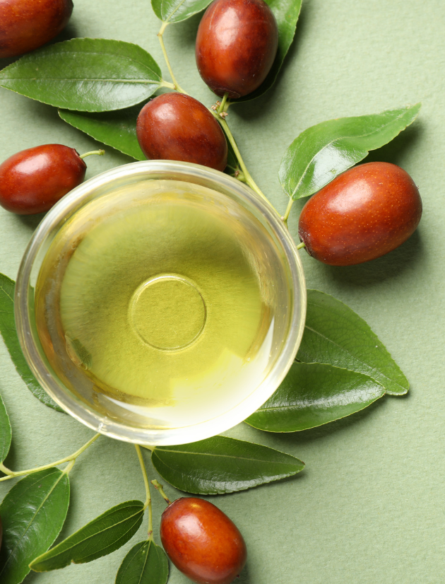 Jojoba: Das Wunderöl aus der Wüste