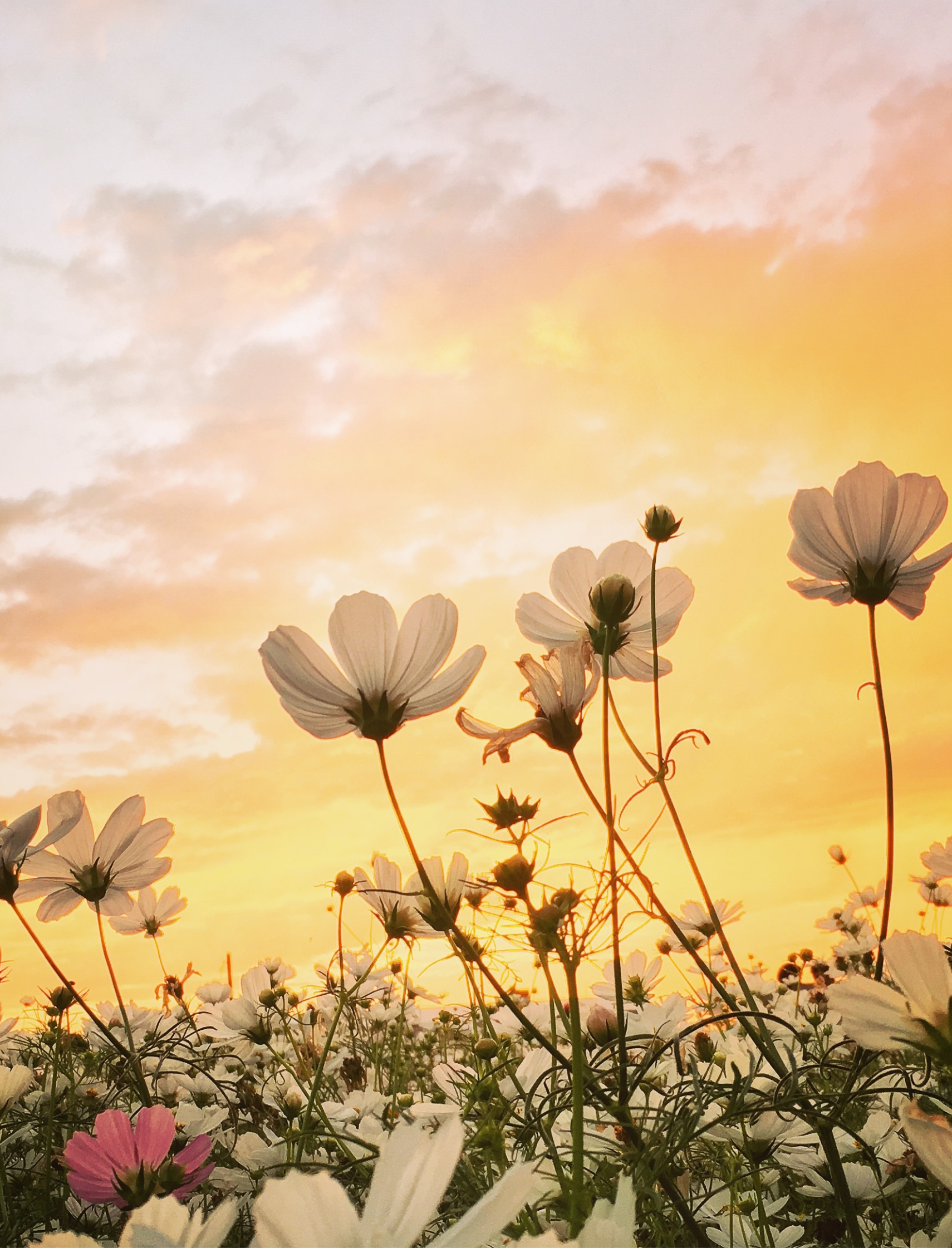 April, April. Aber nicht mit meiner Haut!