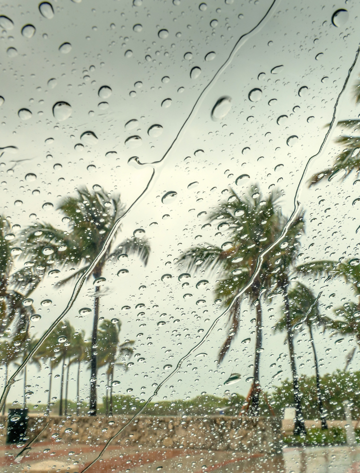 Wenn der Sommer Achterbahn fährt…