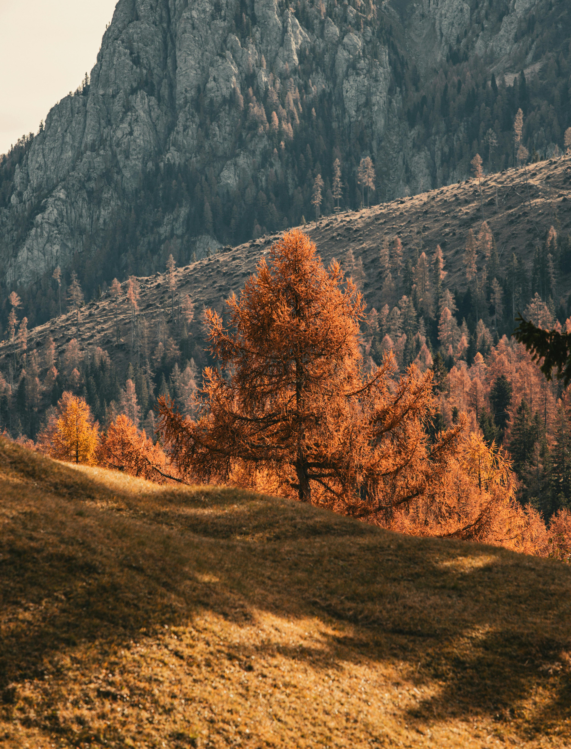Wenn die Haut in den Herbst zieht