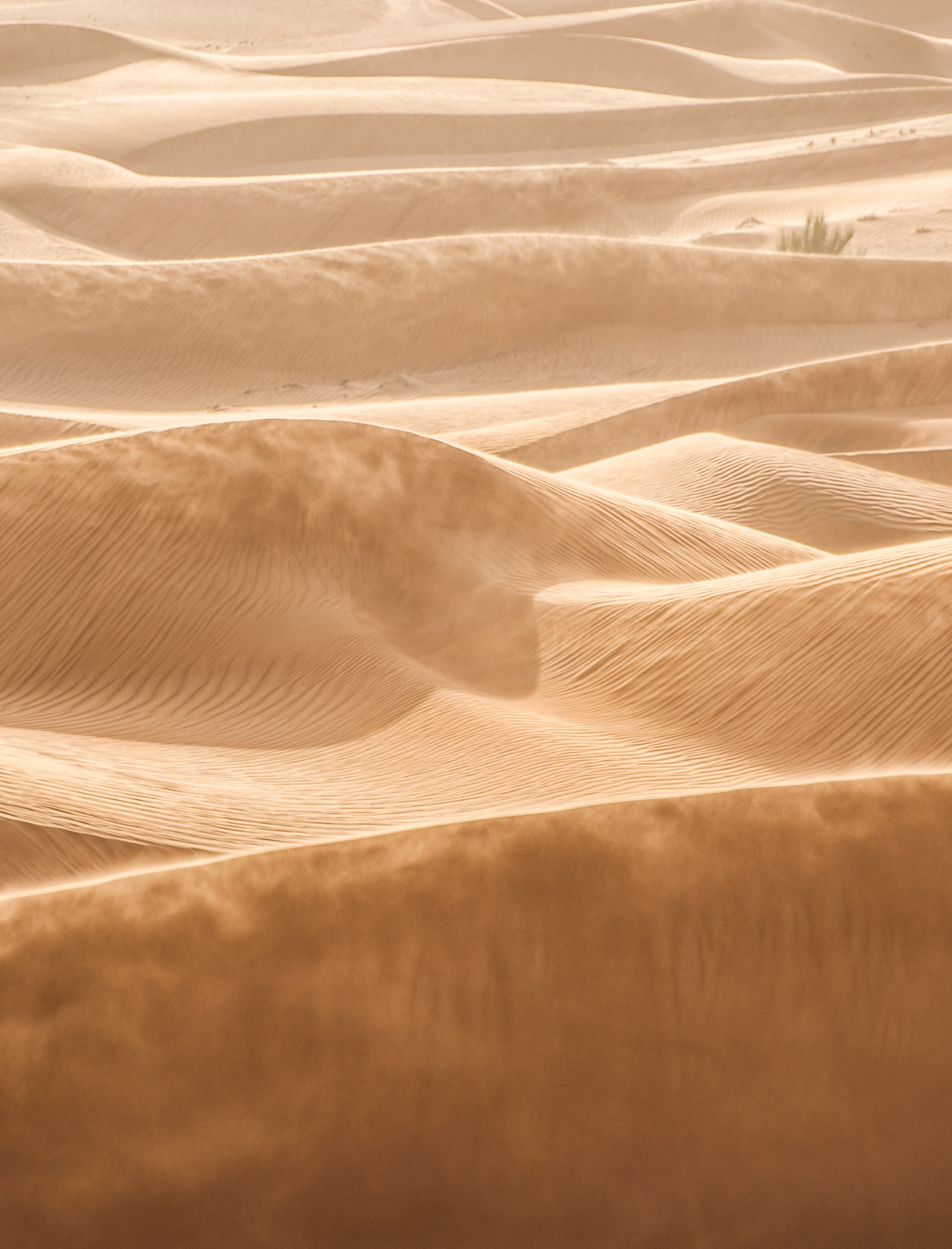 Trockene Haut – die kaum beachtete Volkskrankheit