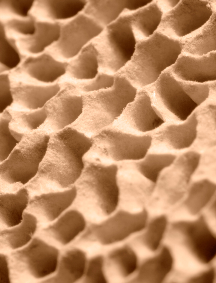 Die (ganze) Wahrheit über die Poren!